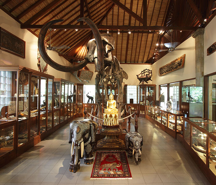 Elephant Museum 2 - Mason Adventures (Bali Adventure Tours)
