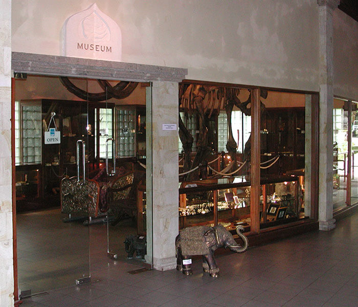 Elephant Museum 4 - Mason Adventures (Bali Adventure Tours)