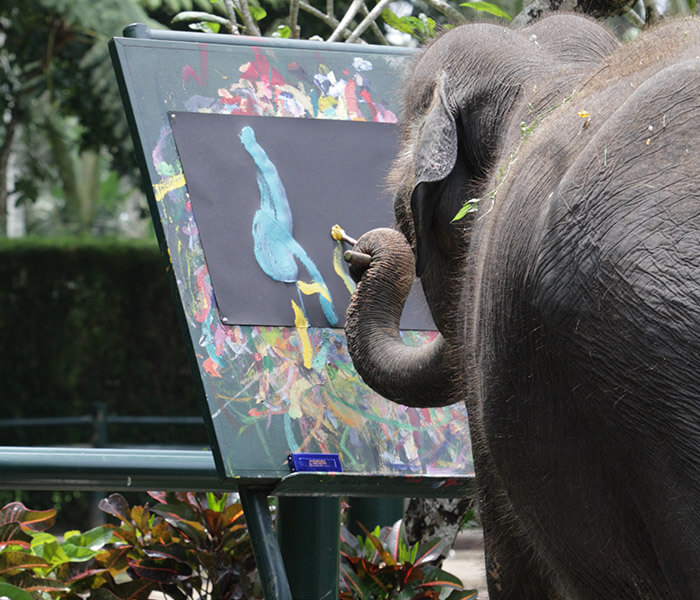 Elephant Painting 1 - Mason Adventures (Bali Adventure Tours)