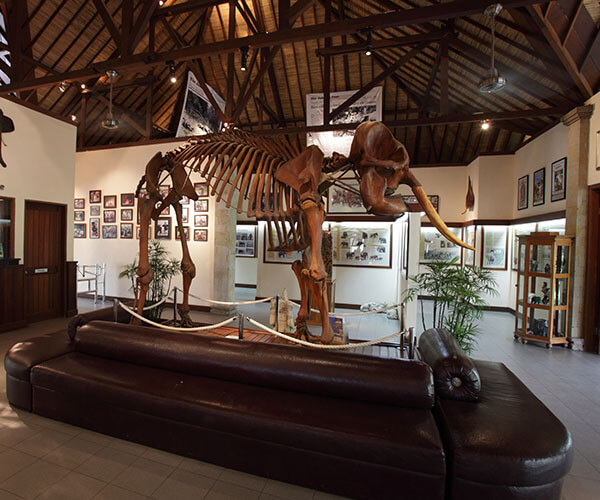 ELEPHANT PARK MUSEUM