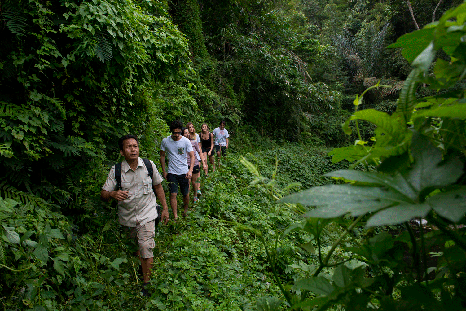Off the Beaten Track for Some Tropical Trekking - Bali Trekking