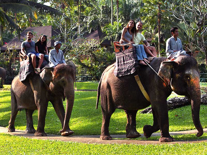 elephant back safari bali