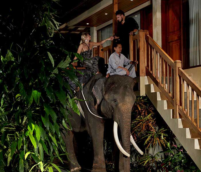 Bali night safari